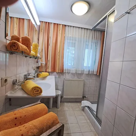 Appartement Rosa-3 By Interhome *